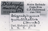 CollectionObject 1523993; 3899f4b9-eaef-4afc-a83b-513da549263a: labels (holotype). (CollectionObject).