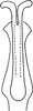 Aedeagus, ventral view on Erythridula ilicis (Ross, 1953): Aedeagus, ventral view. (Observation).