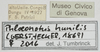 CollectionObject 1577240; 62d85746-7bae-456e-b0a4-1c164bbd35ad: labels. (CollectionObject).