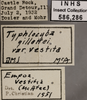 Other: !! display not done !! on Empoa (Empoa) vestita (McAtee, 1926): Labels. Labels for the specimen used for the dorsal, lateral and face images. (Observation).