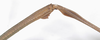 CollectionObject 1562924; 61ae6882-2d16-44f8-beca-123a075aa57e: copyright F. Hennemann. female, femur (paratype). (CollectionObject).;CollectionObject 1562925; 7868b444-db8f-4ed9-82fe-14e5232c1e12: copyright F. Hennemann. female, femur (paratype). (CollectionObject).