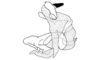 Christenacris sanguilenta Descamps & Rowell, 1984: Fig. 5. phallic complex, lateral view. (Otu).
