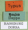 CollectionObject 1502073; 42309119-281d-4cba-995f-44aef516786e, DORSA BA000261S02: labels (syntype). (CollectionObject).