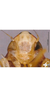 Head: !! display not done !! on Ommatocyba biguttata (Wang & Li, 2003): face. (Observation).
