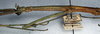 CollectionObject 1559734; 76410036-3034-4405-b917-0551693b4b06: copyright NMW, Vienna. female: head and thorax, lateral view of synonym Cuniculina annamensis (syntype). (CollectionObject).;CollectionObject 1559735; 0daa4f4a-c5ed-4468-bf82-f162d03e2ee8: copyright NMW, Vienna. female: head and thorax, lateral view of synonym Cuniculina annamensis (syntype). (CollectionObject).