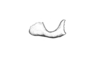 Comansacris hirsutus Ronderos & Cigliano, 1989: Fig. 19. male cercus. (Otu).