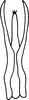 Aedeagus, ventral view: Aedeagus, ventral view. (Observation).