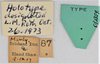 CollectionObject 1618750; 589776e0-ad73-4511-b5dd-ceab97e1d467: (CollectionObject).