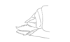 Talamancacris palustris Rowell, 1995: Fig. 7J. female abdomen tip, lateral view. (Otu).