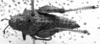 Pappacris patagonus (Saussure, 1884): Image Carbonell, C.S. female, dorsal view (type). (Otu).