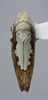 Habitus, dorsal view: !! display not done !! on Scaphytopius n. sp. EC5: Scaphytopius Ball, 1931: (Observation).
