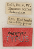 labels (syntype). Depicts CollectionObject 1589281; 504ed762-3c37-4ab2-be11-5cd2fe1a4e98, a CollectionObject.