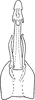 Aedeagus, ventral view on Arboridia (Arboridia) tertina Dworakowska & Viraktamath, 1978: Aedeagus, ventral view. (Observation).