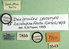 CollectionObject 1501404; 216ad9d5-16a4-44fa-908d-af4556f98d3c: labels (lectotype). (CollectionObject).