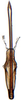 Aedeagus, ventral view: Doratulina dmitrievi, aedeagus, caudally (INHS). (Observation).