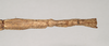 CollectionObject 1557422; NHMUK(SF IMPORT DUPLICATE) 844932, e94fdbb7-3471-47a7-b098-42da6785422b: copyright Natural History Museum, London. female: end of abdomen, dorsal view (syntype). (CollectionObject).
