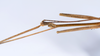 CollectionObject 1557317; f2ab634a-5114-423e-b538-a7a09412d136: copyright ANSP. male: head & thorax, dorsal view (holotype). (CollectionObject).