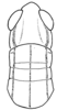 Aleuas vitticollis Stål, 1878: Fig. 21. male, head and pronotum, dorsal view. (Otu).