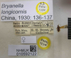 CollectionObject 1594908; 757100ce-0350-41ff-b166-0199fbd43bbc: Bryanella longicornis. Paratype. (BMNH) - (CC BY-NC 4.0) Photo by Stuart Cole, reproduced with permission from the Natural History Museum, London, UK. (CollectionObject).