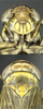 Head on Paramesus obtusifrons (Stål, 1853): Head, pro-, and mesothorax. (Observation).