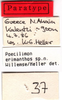 CollectionObject 1536543; 3e43fd7a-f98a-4fa8-ba02-364b7f8523a1: labels (paratype). (CollectionObject).