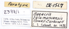 CollectionObject 1514374; 28fc909f-a323-4f58-8be0-a504e1ae2076, MLP2377/1: labels (paratype). (CollectionObject).