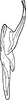Stylus: !! display not done !! on Alnetoidia (Alnetoidia) Dlabola, 1958: Stylus (A. alneti Dhlb.). (Observation).