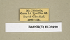 CollectionObject 1572892; ec59d224-8785-434b-a3cd-5a8f6016dade: Copyright Natural History Museum, London. Labels from non-type (adult male) in BM(NH). (CollectionObject).