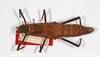 CollectionObject 1562227; a58ba5bd-848a-4ed4-a2b4-73916533b18f: Copyright MNCN, Madrid. female, dorsal view (syntype). (CollectionObject).;CollectionObject 1562228; 04fc29ef-48b7-4a14-bdec-ef4159c0b62c: Copyright MNCN, Madrid. female, dorsal view (syntype). (CollectionObject).