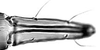 Subgenital plate.: Rostrum (URS) of A. craccivora. (Observation).