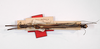 CollectionObject 1562146; c3916979-da30-4d1c-99d5-7770dabd132d: Copyright MNCN, Madrid. male, dorsal view (syntype). (CollectionObject).;CollectionObject 1562147; 0defbfe2-019a-4fa3-8d4a-2f1fd628354a: Copyright MNCN, Madrid. male, dorsal view (syntype). (CollectionObject).