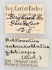 CollectionObject 1590412; 8d5a22b0-2c5e-4b7f-92c9-c774272654d6: labels. (CollectionObject).