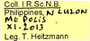 CollectionObject 1578598; 65c5b7c5-5073-473b-9c7b-3e94df8cff01: copyright ISNB, Brussels. female, data labels (paratype). (CollectionObject).