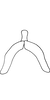 Connective on Arboridia (Arboridia) huajiangensis Jiang, Luo & Song, 2021: (Observation).