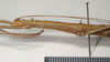 CollectionObject 1560285; c42665e7-922a-4a4e-bc70-12928f7e520e: copyright Natural History Museum, London. female: head and thorax, lateral view (syntype). (CollectionObject).;CollectionObject 1560286; 3e34dd6f-f719-45b4-b973-e3a6199c4aaf: copyright Natural History Museum, London. female: head and thorax, lateral view (syntype). (CollectionObject).