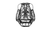 Aucacris eumera Hebard, 1929: Fig. 3. female, head, frontal view. (Otu).