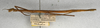 CollectionObject 1558061; NMW 424, f9fd4888-0b00-40f2-93d5-504fd5d42877: copyright NMW, Vienna. female, lateral view (syntype). (CollectionObject).