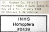 Other on Athysanella (Athysanella) utahna Osborn, 1930: Labels - Face. (Observation).