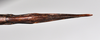 CollectionObject 1558568; NTUC 732, c9758454-56c2-43fd-92c2-00b2d31b54ab: copyright NTUC. female: end of abdomen, ventral view (holotype). (CollectionObject).