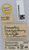 CollectionObject 1578672; 7389eeed-3d9b-4c1e-92e7-9b067d3dc104: labels (paratype). (CollectionObject).