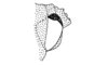 Aptoceras albosignatus Descamps, 1981: Fig. 51. aedeagus. (Otu).