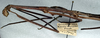 CollectionObject 1561719; bc9630b6-11a7-4464-8b5d-afcb9dab50d9: copyright NMW, Vienna. female: head and thorax, lateral view of synonym Cuniculina insueta (holotype). (CollectionObject).