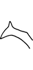 Stylus: !! display not done !! on Erythroneura diva McAtee, 1920: Stylus. (Observation).