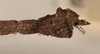 CollectionObject 1560107; 7d1b080d-7a82-463c-9605-b374e86a40cf: copyright OUMNH. male: end of abdomen, lateral view (syntype). (CollectionObject).