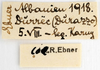 CollectionObject 1531359; b7cc2115-2530-434d-aa94-d038815bdb4f: labels (syntype). (CollectionObject).