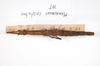 CollectionObject 1559810; b87b6d22-cbb9-4682-9522-e593131d87bb: copyright MNCN, Madrid. male, dorsal view of synonym Menexenus cristatus (holotype). (CollectionObject).