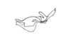 Oxybleptella sagitta Giglio-Tos, 1894: Fig. 27C. endophallus, lateral view. (Otu).