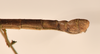 CollectionObject 1560631; 8a8909ba-d2f3-41cd-9b95-c3b734dbdf07: copyright UMO. male: end of thorax, lateral view (lectotype). (CollectionObject).