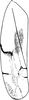 Forewing: !! display not done !! on Eurhadina (Eurhadina) loewii (Then, 1886): Forewing. (Observation).