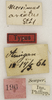 CollectionObject 1529717; 8e0a9ae7-3d51-4191-a1c1-e453c5d48bcb: labels (holotype). (CollectionObject).